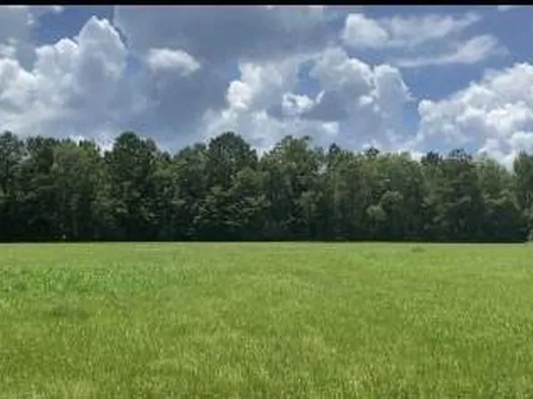 2697 River Rd, Silver Creek, MS 39663