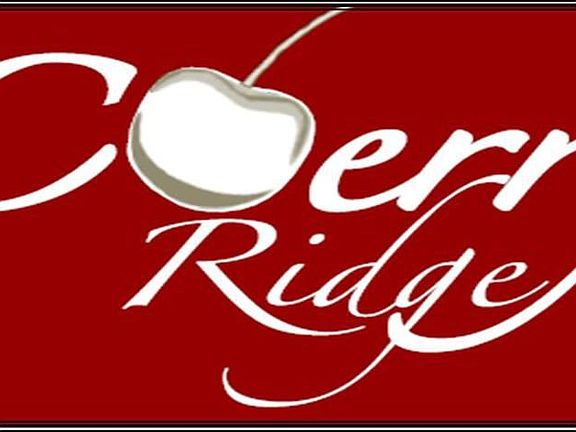 Logo-J