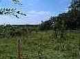 1st image of 151 S Peebly Rd #1