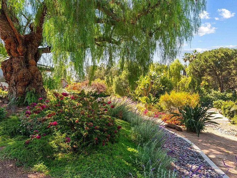 20063 Elfin Forest Ln — Photo 6