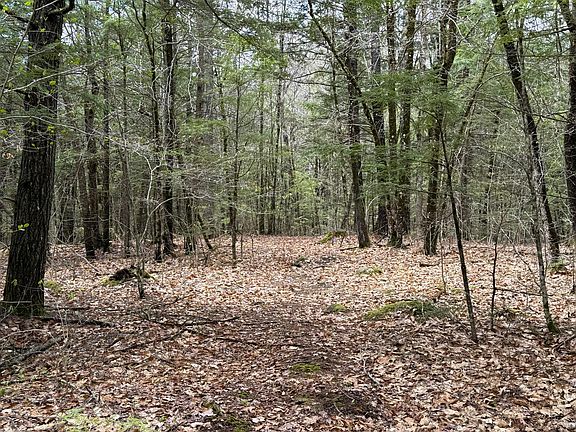3rd image of 48 Highland Ridge