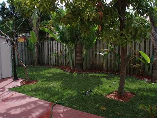Relandscaped yard