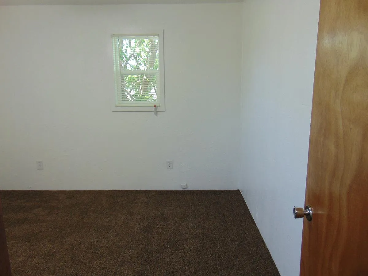 2 bed, 800 sqft, $875 — Photo 3