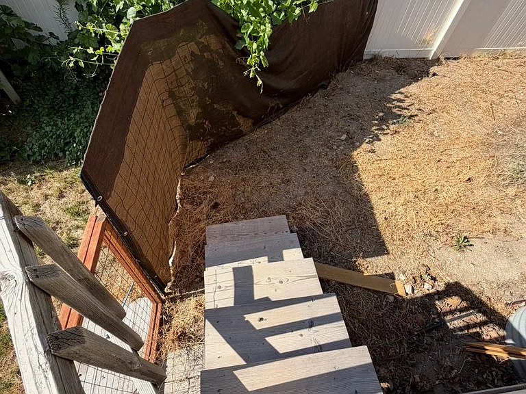 10680 S Carrington St — Photo 50