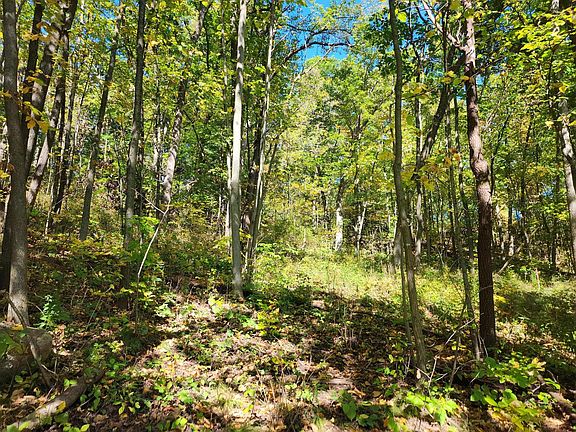 4th image of Lt0 312TH AVENUE