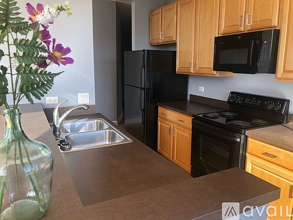 5th image of 1322 S Prairie Ave Unit 1501