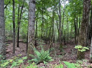 0 Quail Ridge Rd #216, Lake Lure, NC 28746