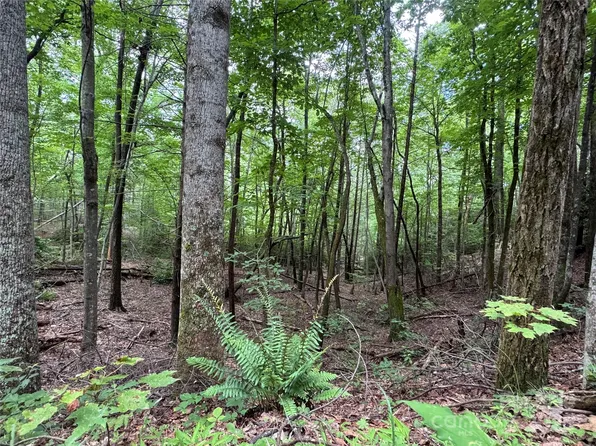 0 Quail Ridge Rd #216, Lake Lure, NC 28746