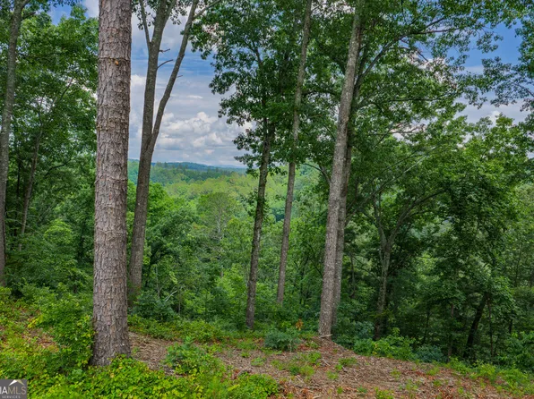 LOT-295A Pebble Trce, Talking Rock, GA 30175