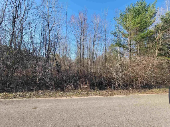 E Maple St, Gladwin, MI 48624