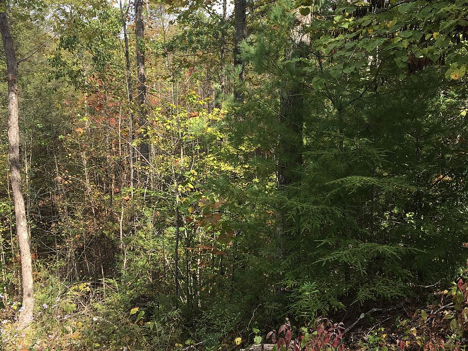 2nd image of James Pt #2-14