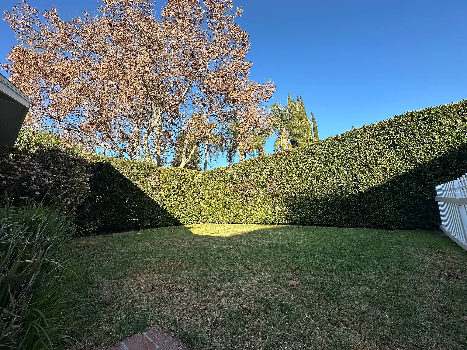 4411 Mammoth Ave — Photo 3