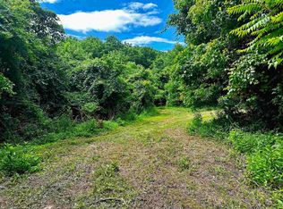TRACT 5 Holt Rd, Louisa, KY 41230
