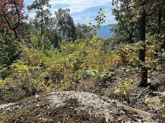 3rd image of Coal Bank Rd Lot 39