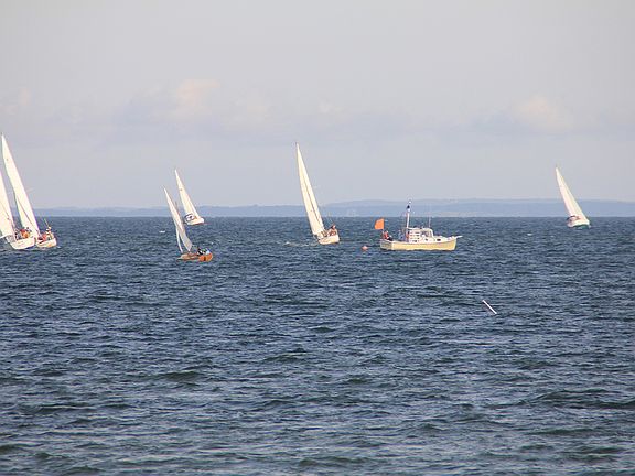 Views of small sailboat race