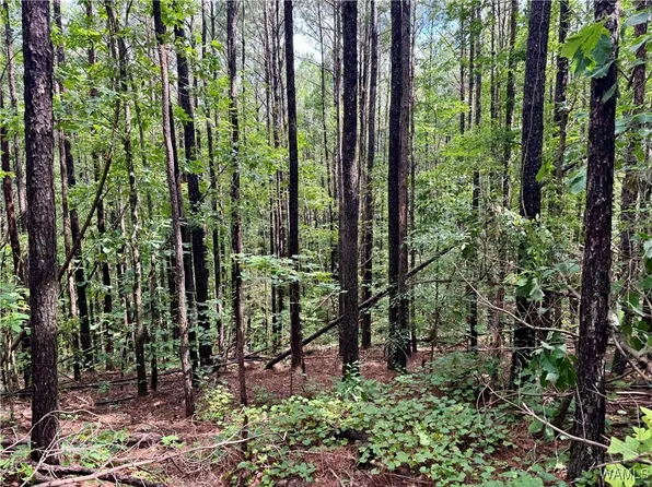 0 County Road 83, Berry, AL 35546