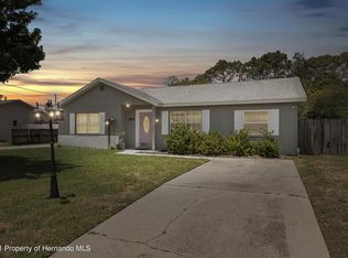 3009 Greynolds Ave, Spring Hill, FL 34608