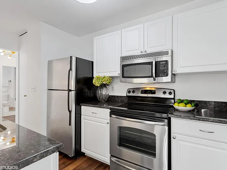401 E Ontario St #1409 — Photo 6