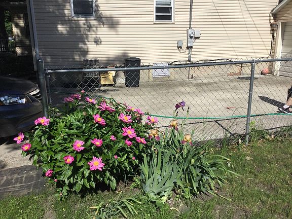 5th image of 704 N Chicago St