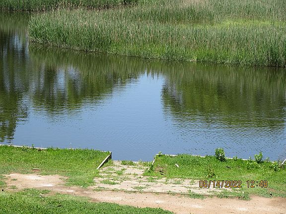 View from End of Yard