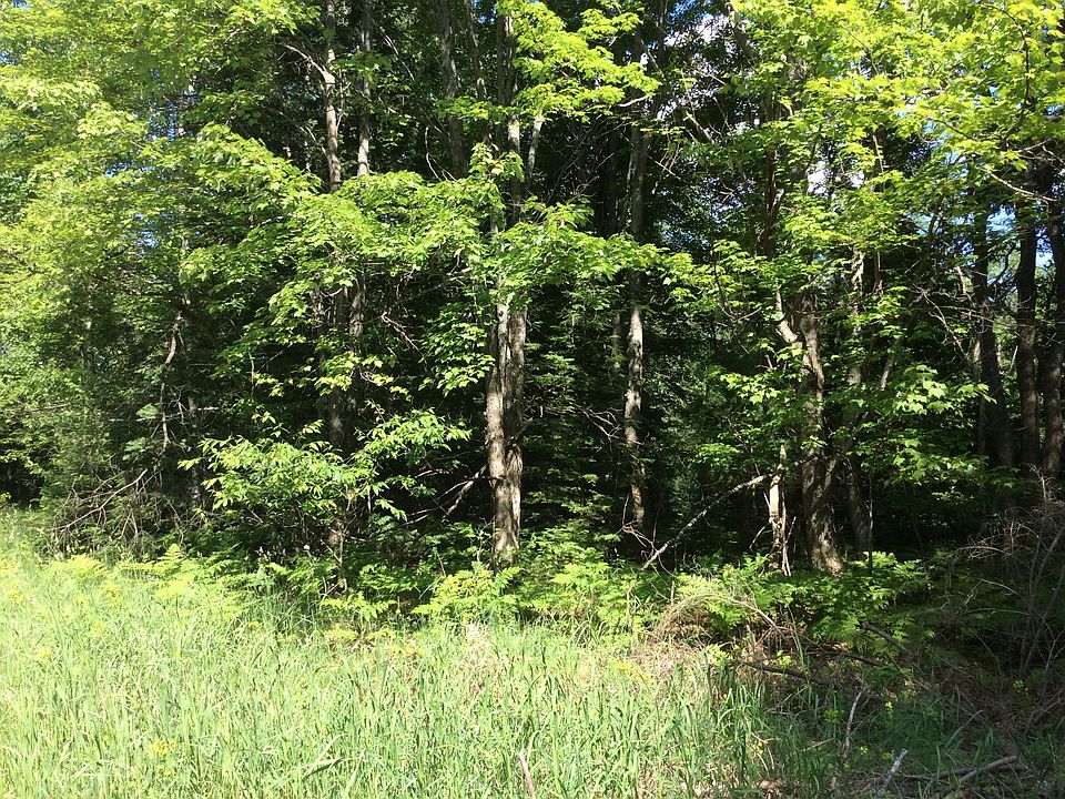 1st image of 0 Pine River Trl