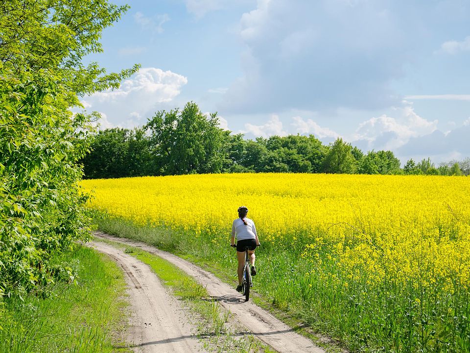 Direct Access to Bike Trails! 