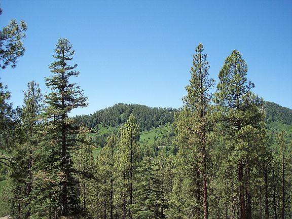 View from front porch