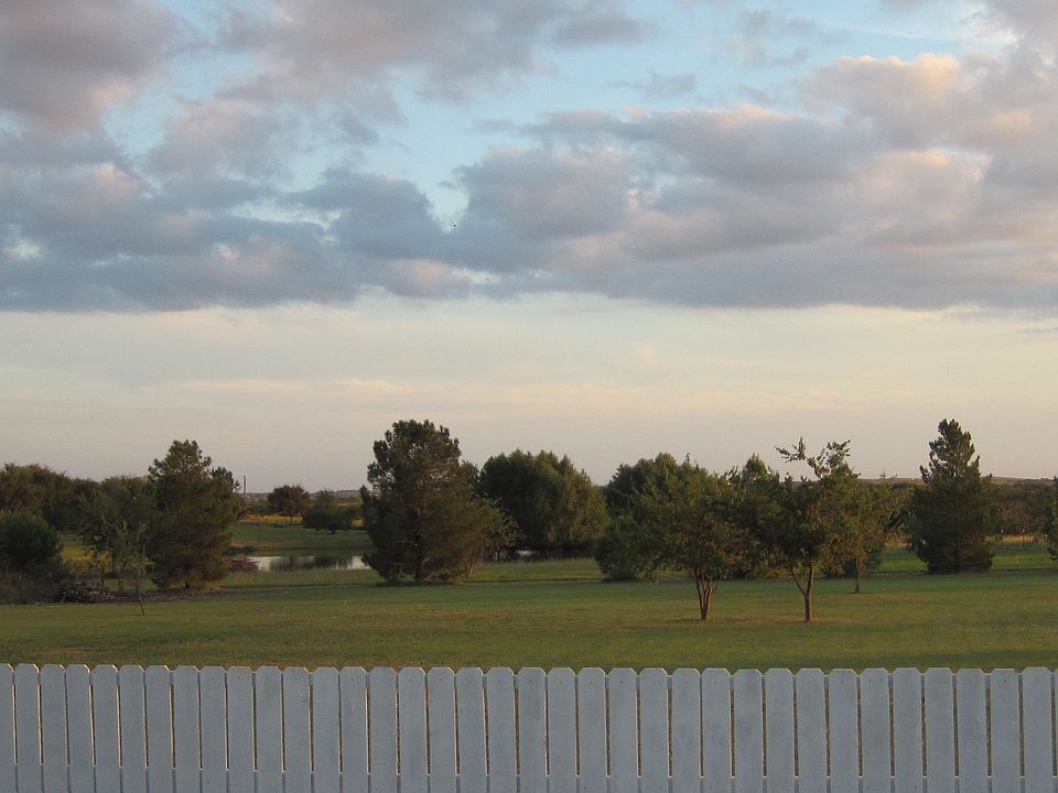 View from back patio