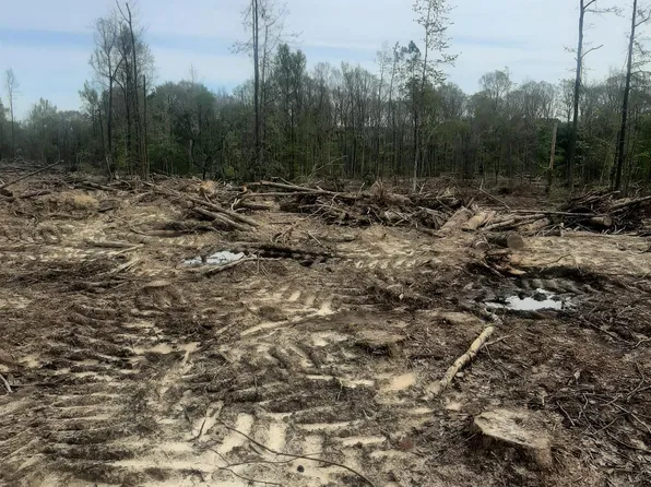 1176 Highway 545, Dubach, LA 71235