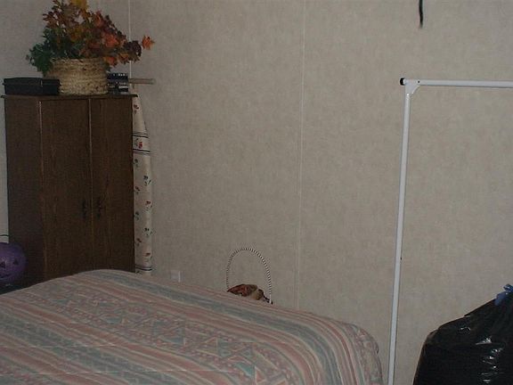 4th image of 2341 Oakwood Dr