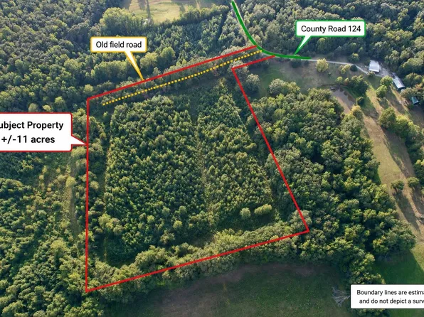 County Road 124, Walnut, MS 38683
