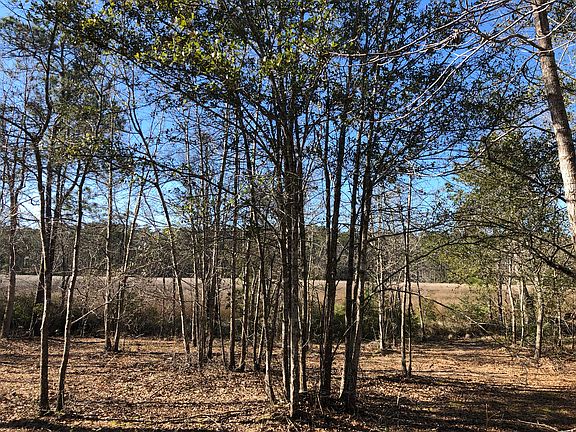 3rd image of 2867 Jalisco Rd SE