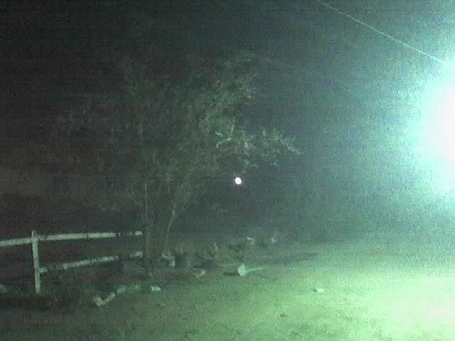 2nd image of 11354 3rd Ave
