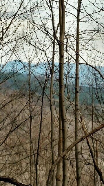 1st image of Pinnacle Pkwy