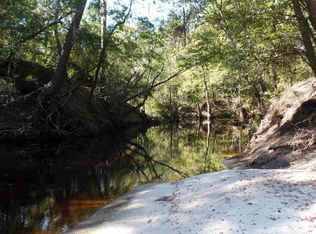 155 Parsons Ln #0, Sopchoppy, FL 32358