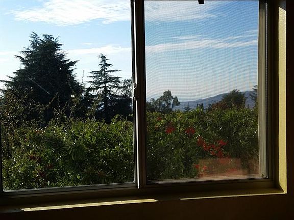 Kitchen view