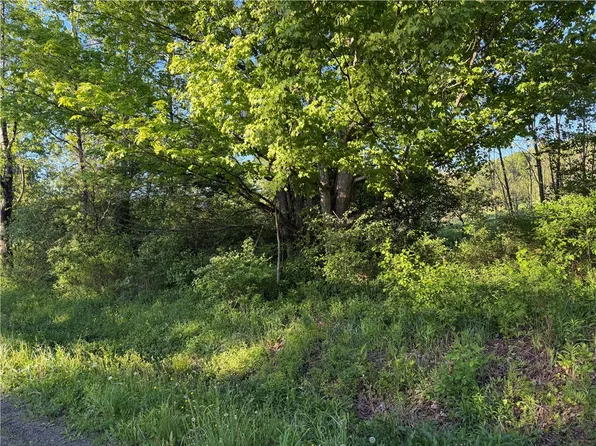 0 County Highway 4, Otego, NY 13825