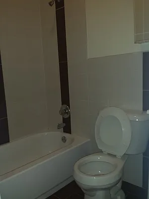 Rented by Brooklyn IQ Properties Inc | media 66