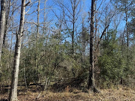 4th image of LOT 7 Music Ln