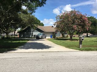 19802 Deer Lake Rd, Lutz, FL 33548