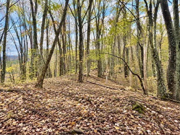 TBD Hwy 88W Highway, Warrensville, NC 28693
