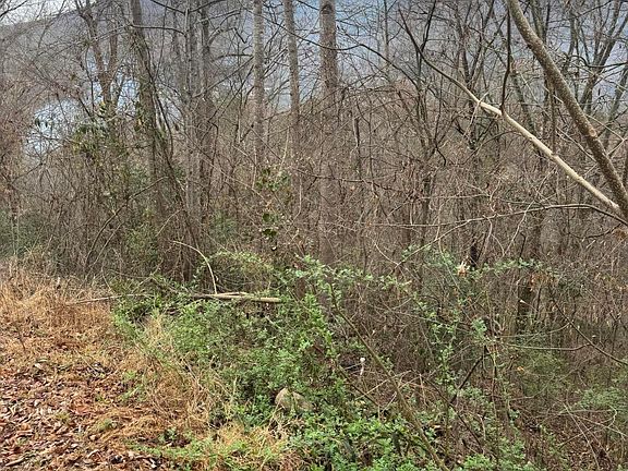 2nd image of 2190 Stoneview Way