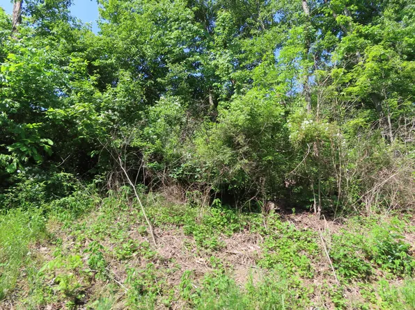 0 Licking Valley Rd, Frazeysburg, OH 43822