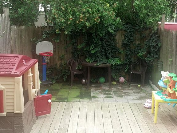 Low Maintenance yard