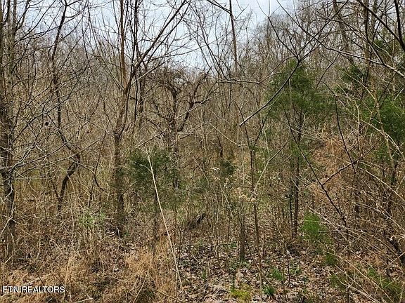 3rd image of 3156 Old Lowes Ferry Rd