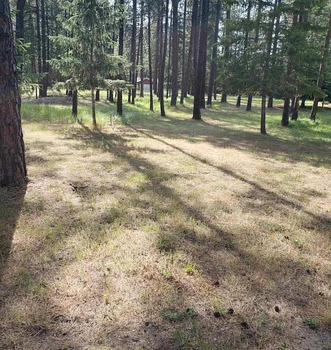 2nd image of 251 Eagle Dr