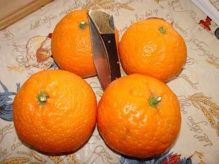 sweetest and biggest Satsuma Mandarins in Butte County