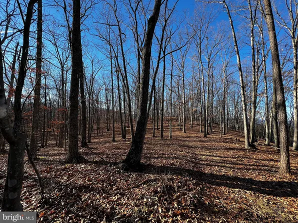 S Fork Rd, Moorefield, WV 26836