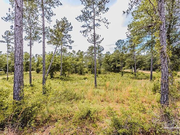 3rd image of 7435 Tidwell Rd