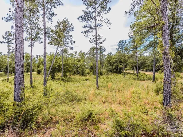 7435 Tidwell Rd, Milton, FL 32571